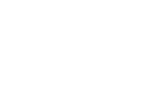 Yeti Logo White